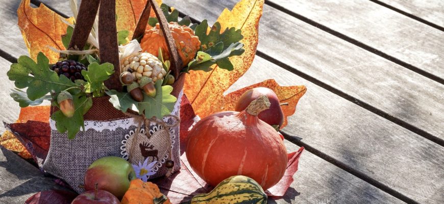 Fall vegetation as decor