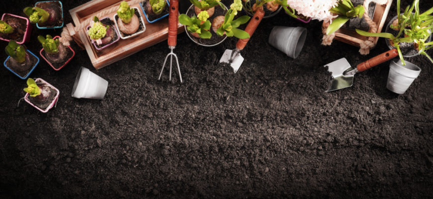 Gardening,Tools,And,Plants,On,Soil,Background.,Spring,Garden,Works