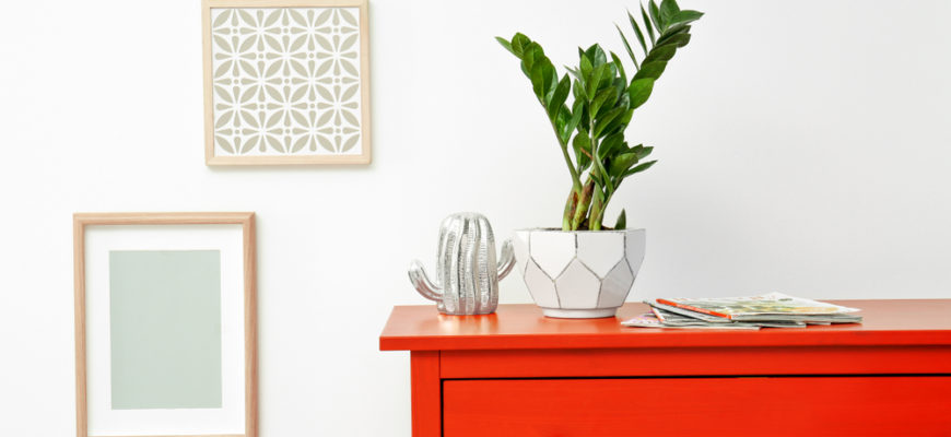 Tropical,Plant,On,Dresser,Against,Light,Wall,Indoors