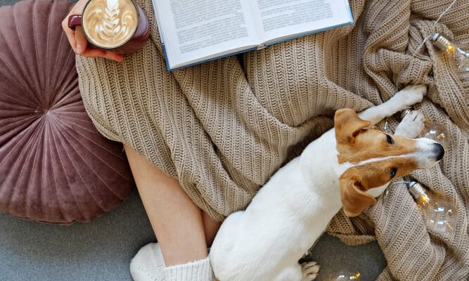 Young,Woman,And,Her,Adorable,Jack,Russell,Terrier,Puppy,Sitting